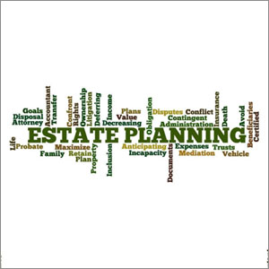 Understanding Estate Planning Matters in Virginia - Madigan and Scott Inc.