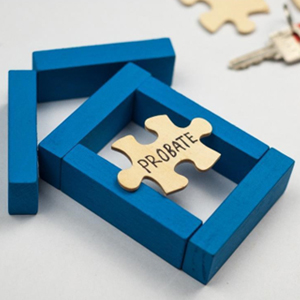 A jigsaw puzzle piece shaped like a house with the word "probate" written on it.